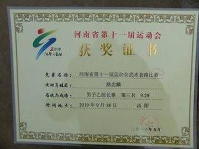 2010年岳家拳路忠麟荣获省运会长拳第三名